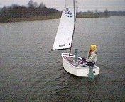 Ziegelmayer Optimist